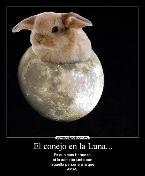 conejo en la luna-4